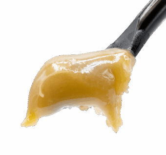 Buy Peach Rings THCA Live Rosin